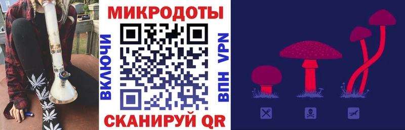 наркотики  Краснознаменск  Галлюциногенные грибы прущие грибы 